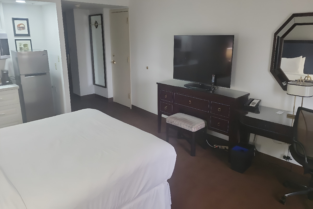 Traditional, Guest room, 1 King
